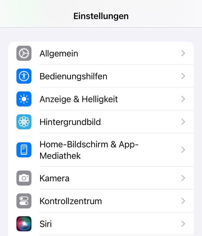 iOS 1 DE